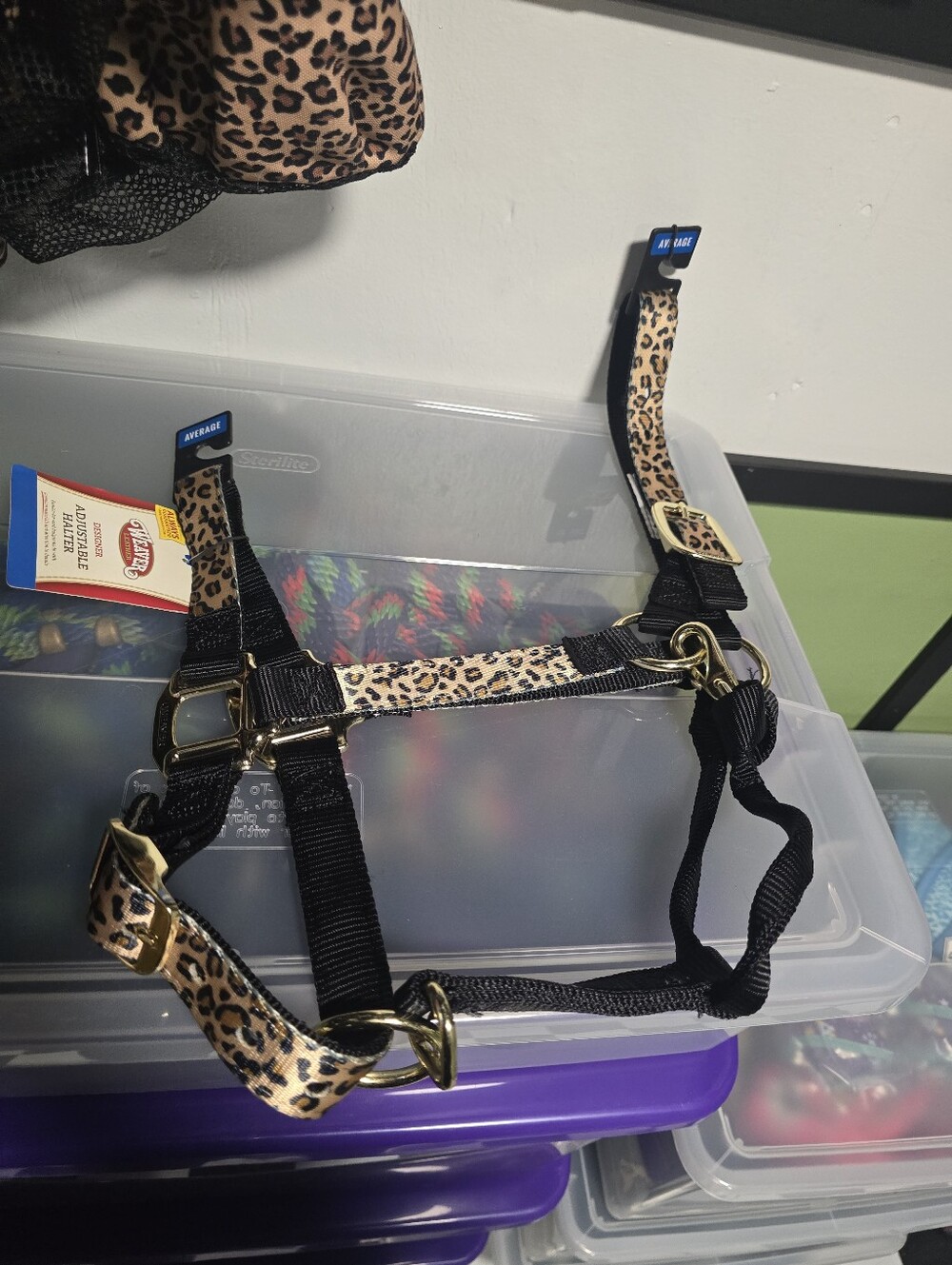 Leopard Print Horse Halter - Black and Tan